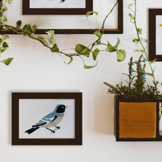 Bird Study : Swallow | Modern Paint By Numbers Kit