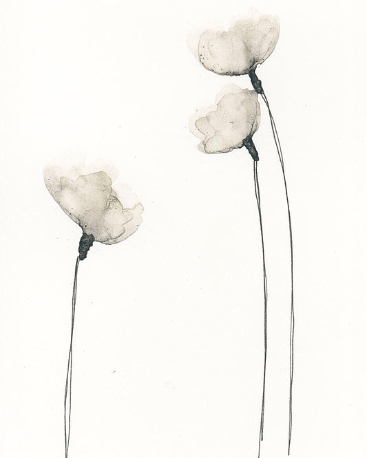 Cotton Flower Prints