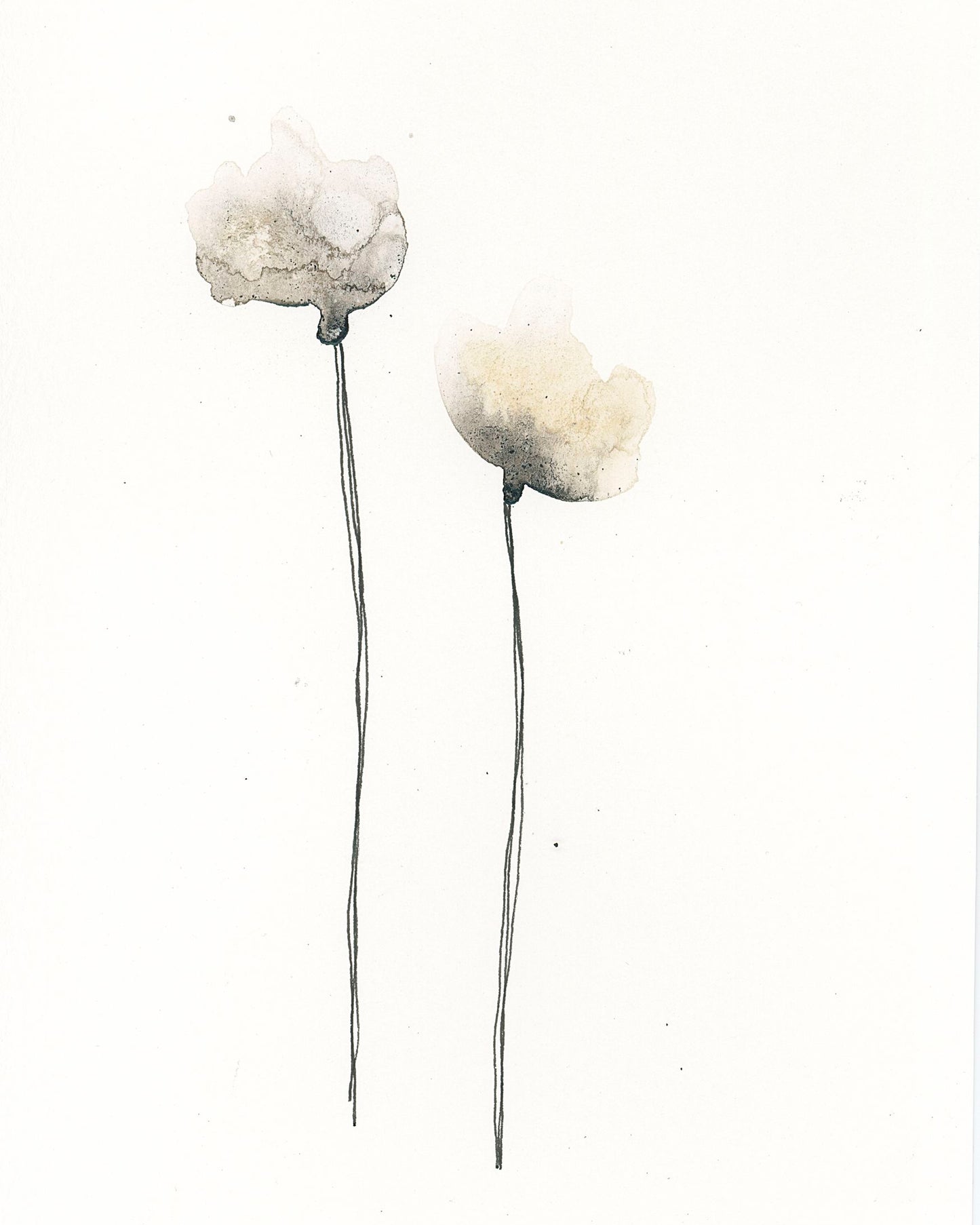 Cotton Flower Prints
