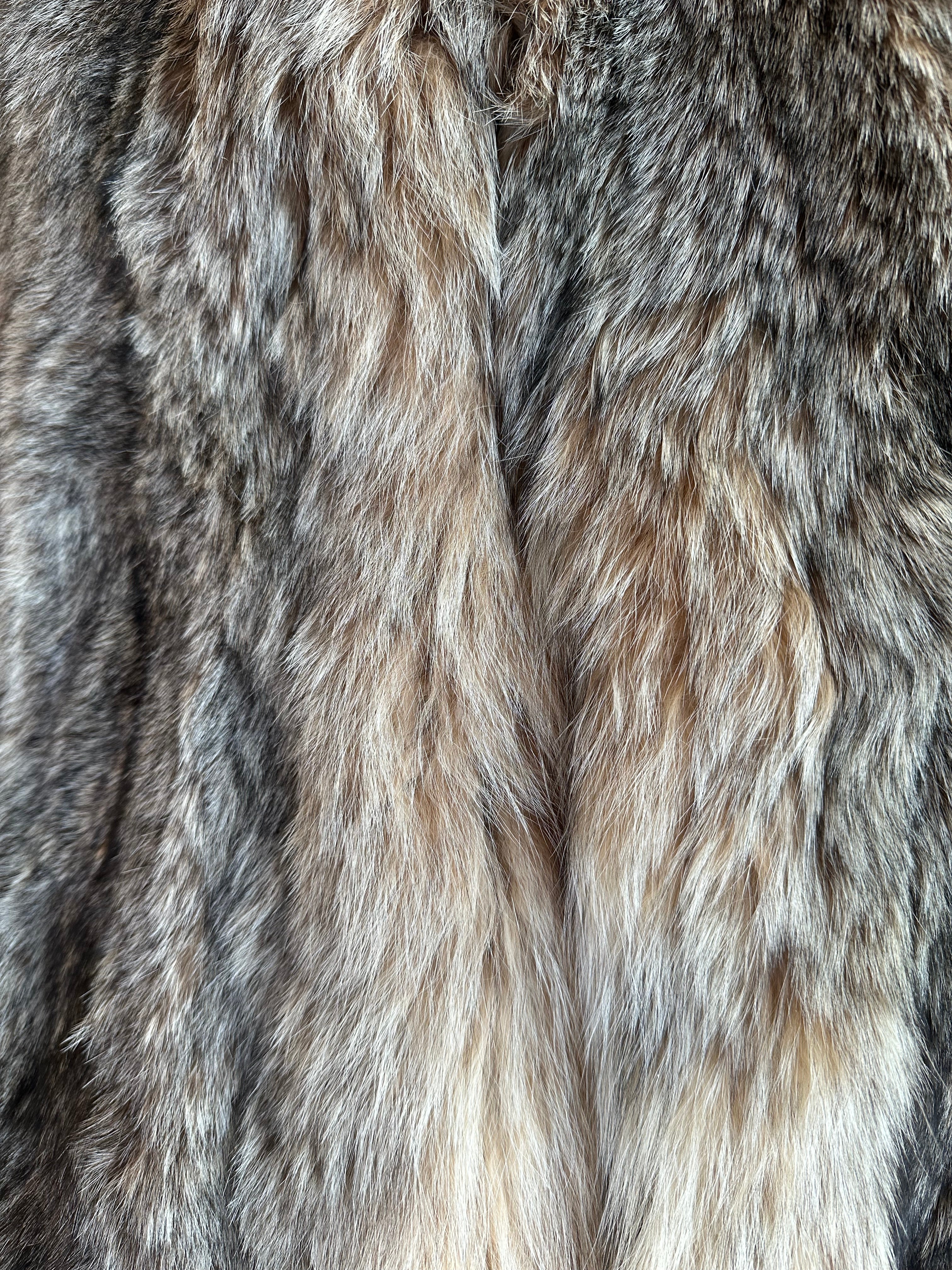 Lynx – Wild Yukon Furs Inc.