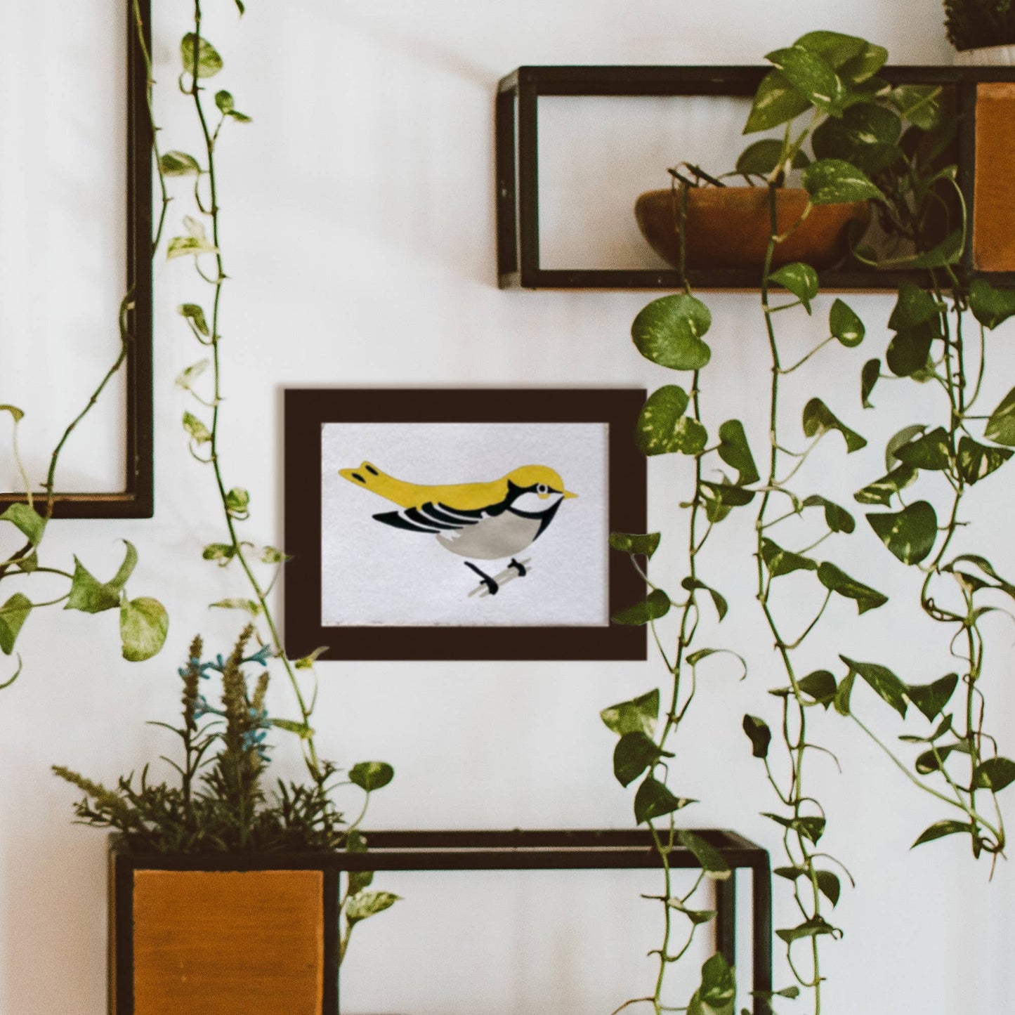 Bird Study : Goldfinch  |  Modern Paint By Numbers Kit