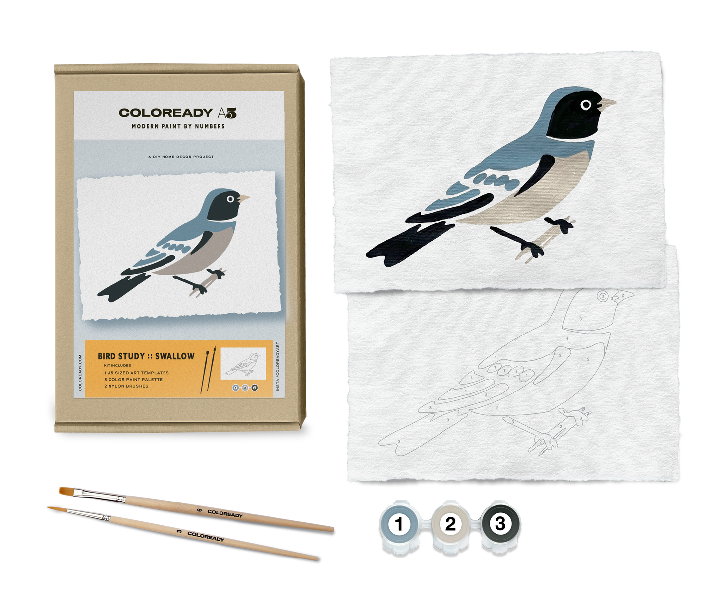 Bird Study : Swallow  |  Modern Paint By Numbers Kit