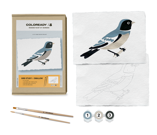 Bird Study : Swallow  |  Modern Paint By Numbers Kit