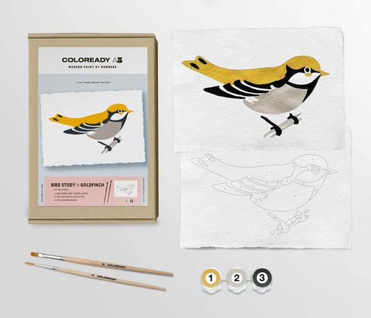 Bird Study : Goldfinch  |  Modern Paint By Numbers Kit