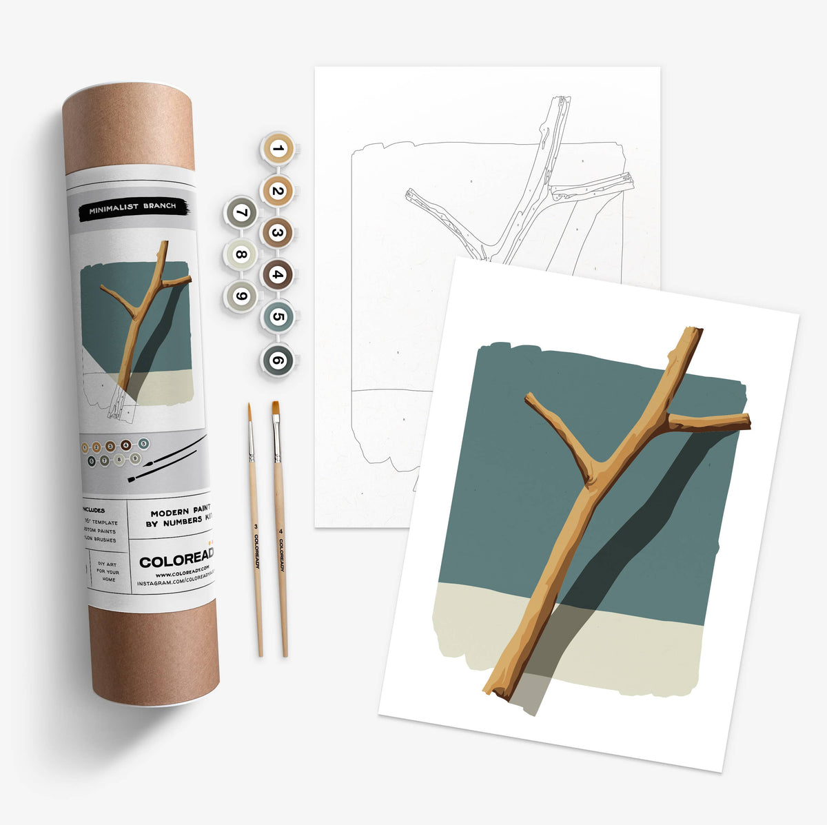 Minimalist Branch Study | Modern Paint By Numbers Kit