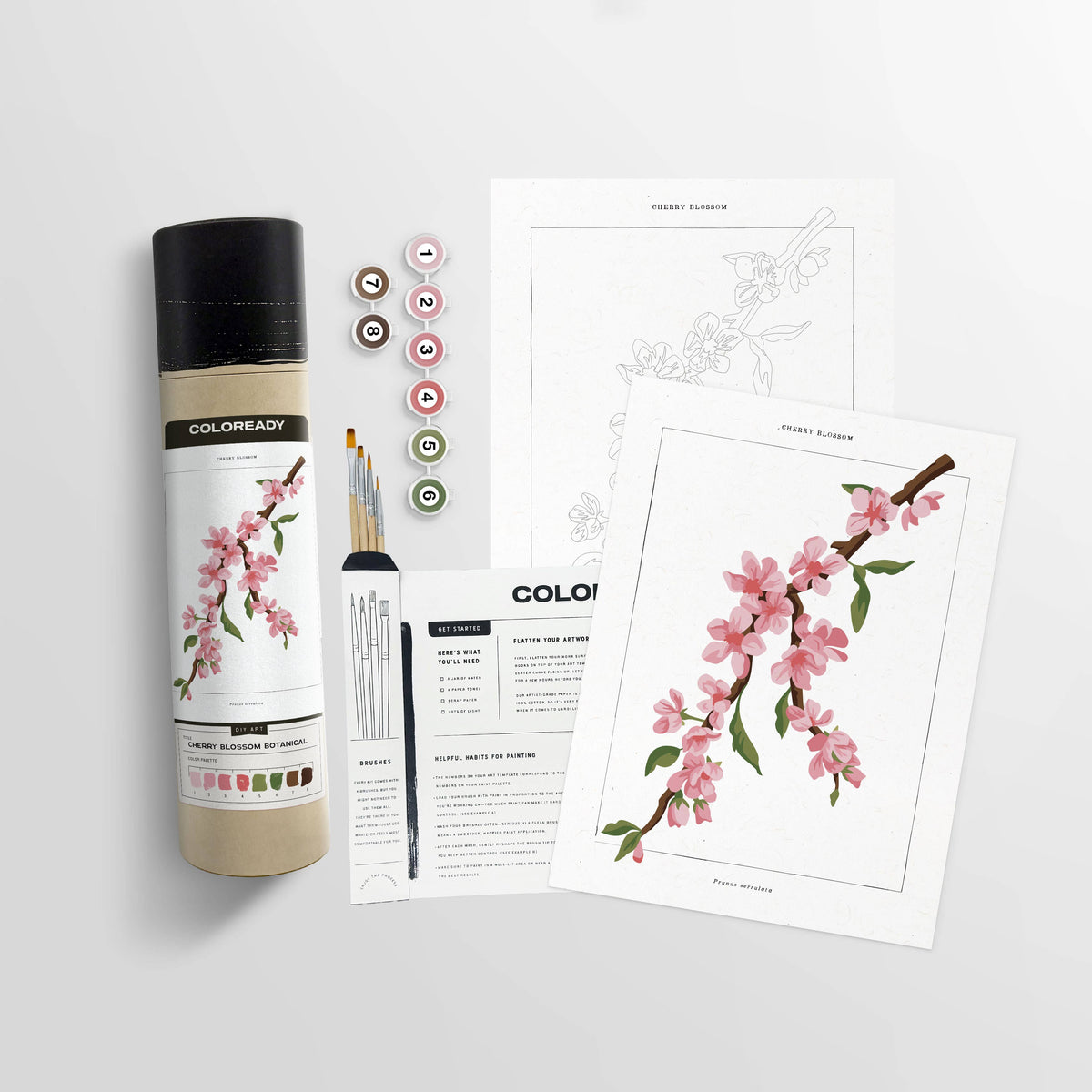 Cherry Blossom Botanical | Modern Paint By Numbers Kit