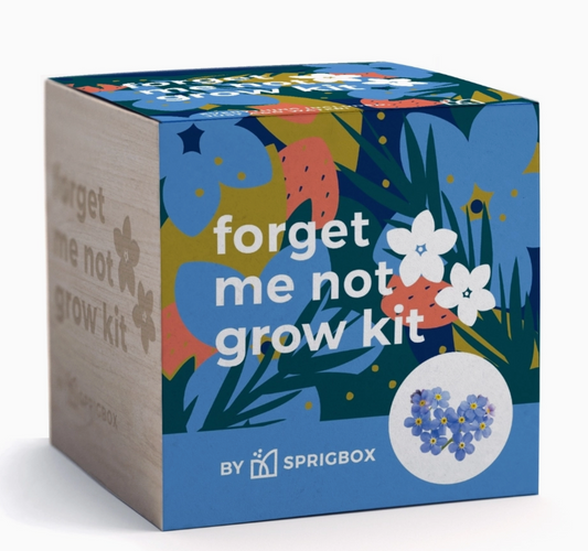 Forget Me Not grow kit