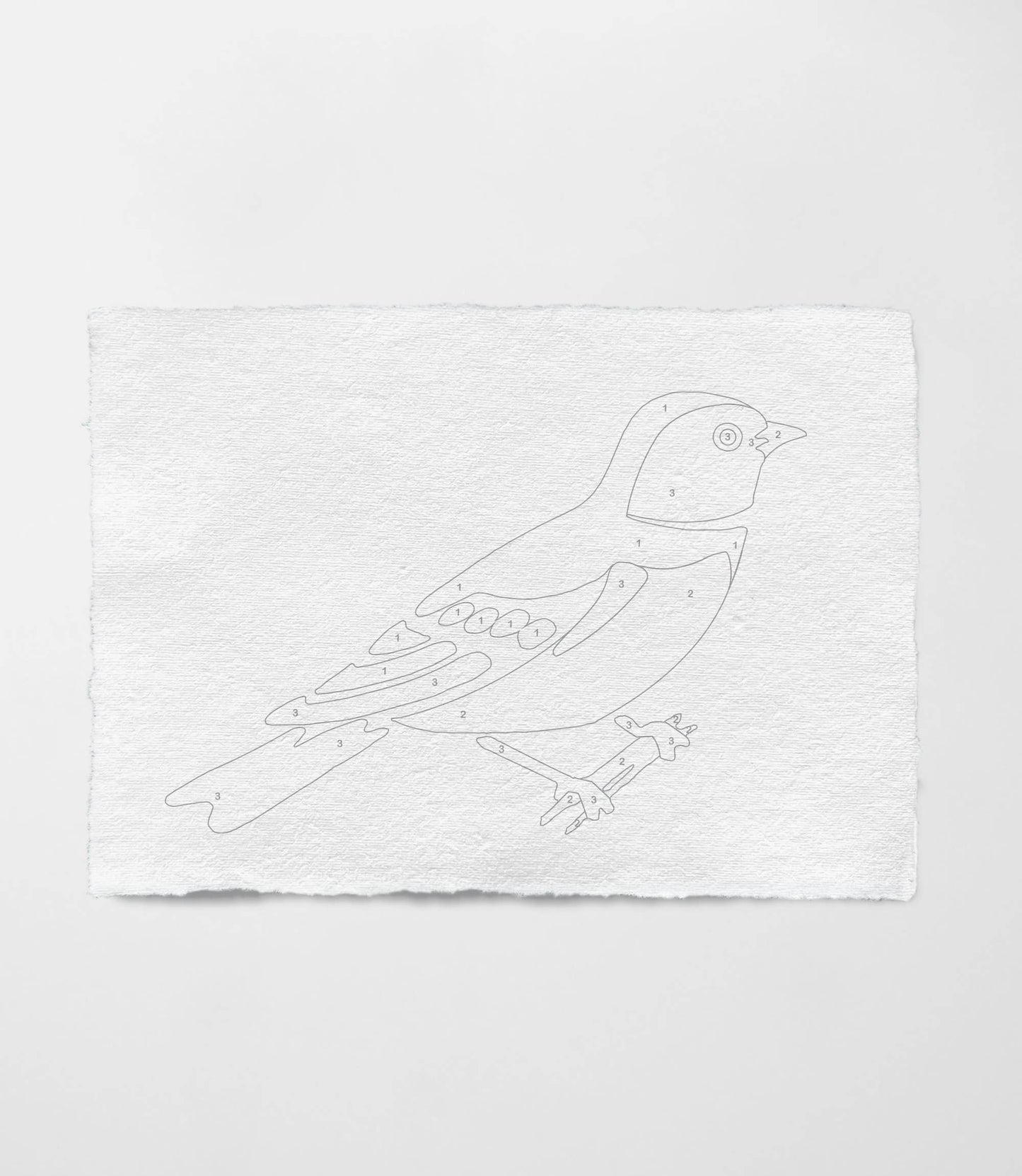 Bird Study : Swallow  |  Modern Paint By Numbers Kit